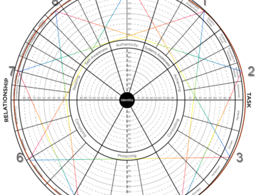 The Enneagram and Leadership Circle Profile: Connections and Complements