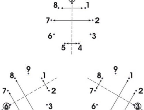 Evolution’s Best Kept Secret: The “3, 6 & 9 Triune”